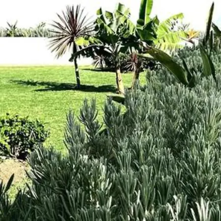 Lavanda Villa